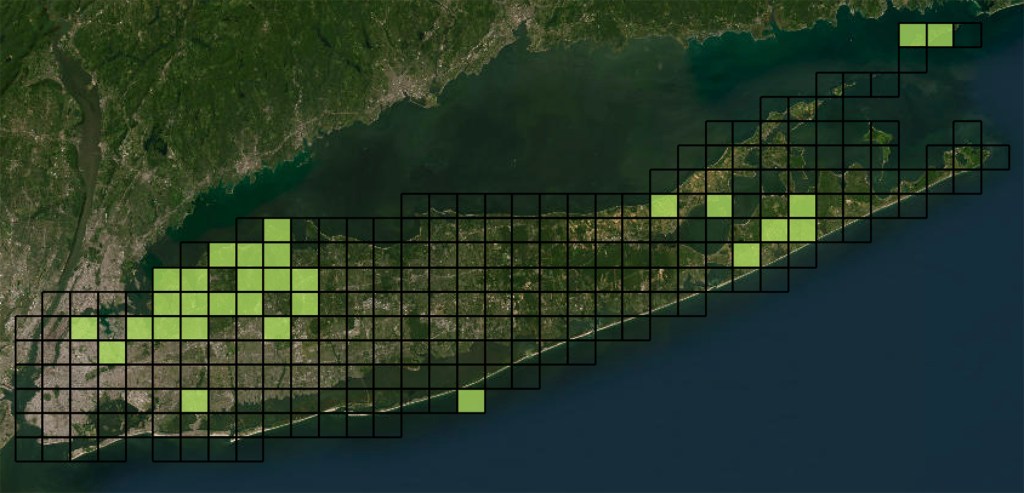 A map of coyote sightings across Long Island from the Long Island Mammal Survey.