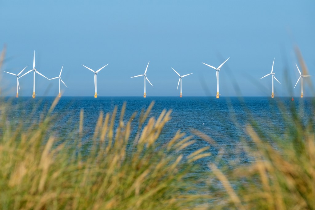 Offshore wind farm viewed from grassy dunes.