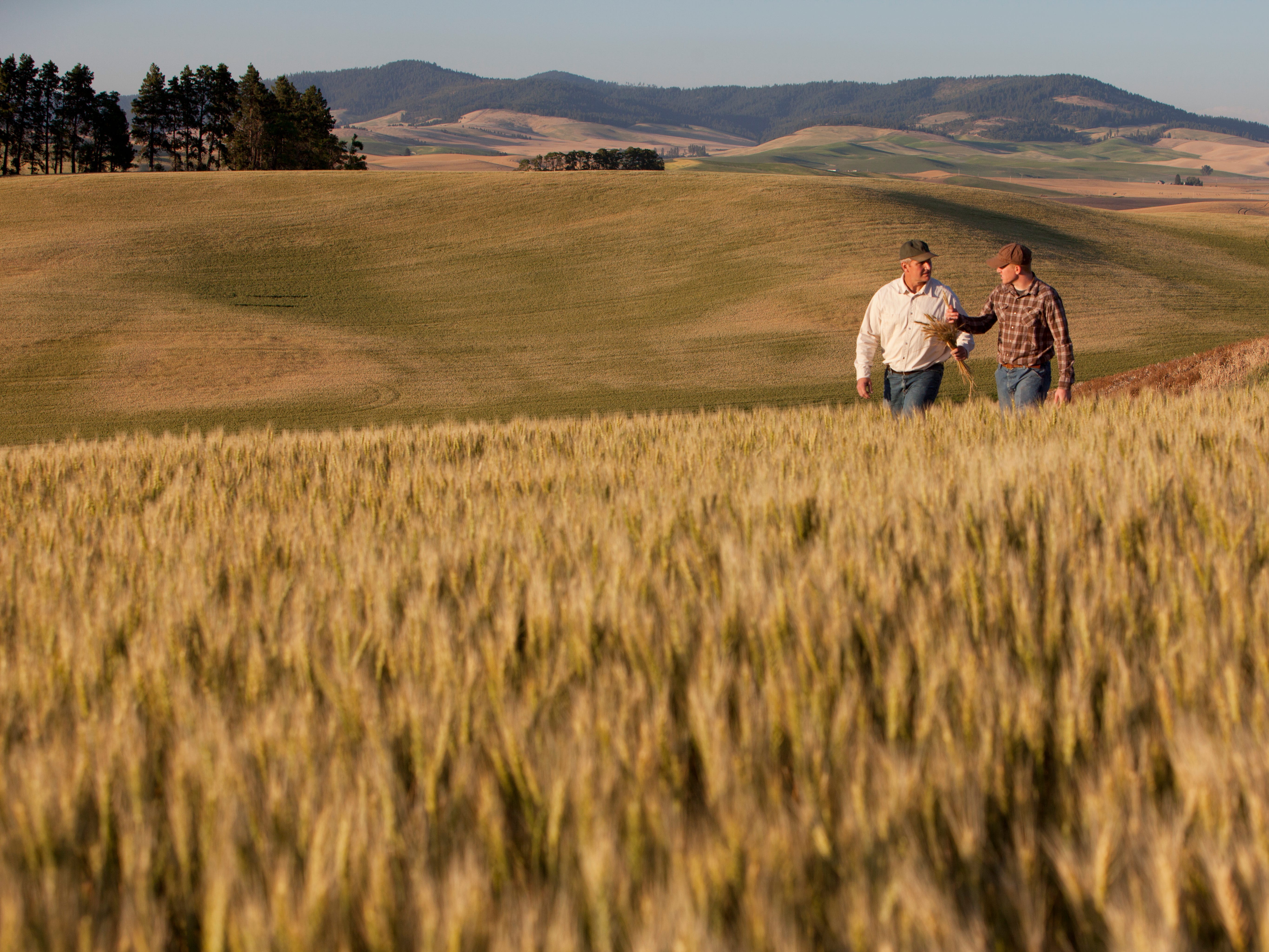 Two people in a field