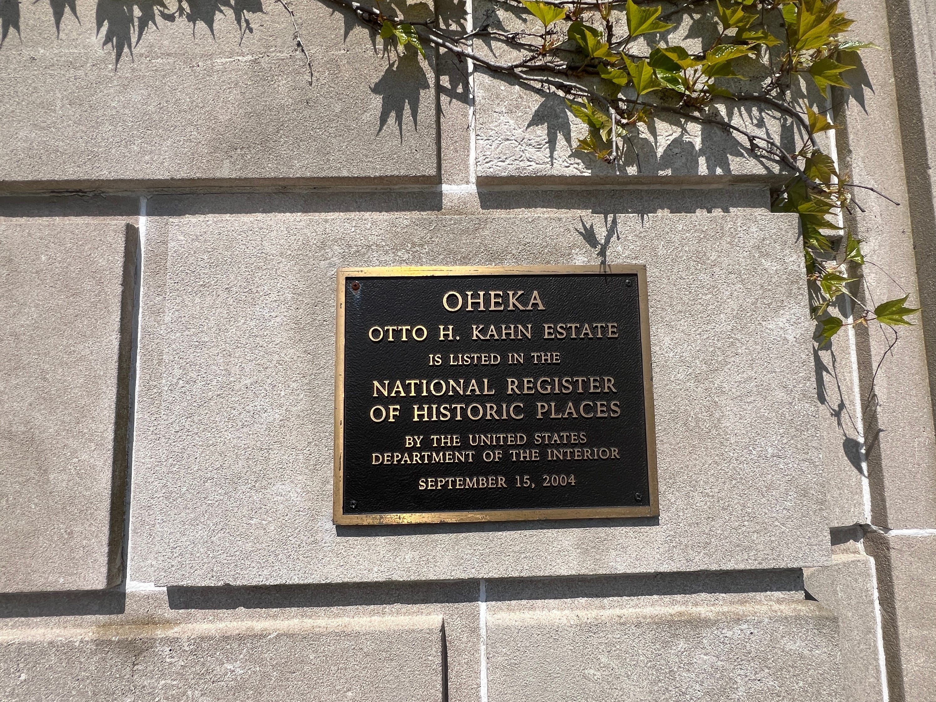 the plaque