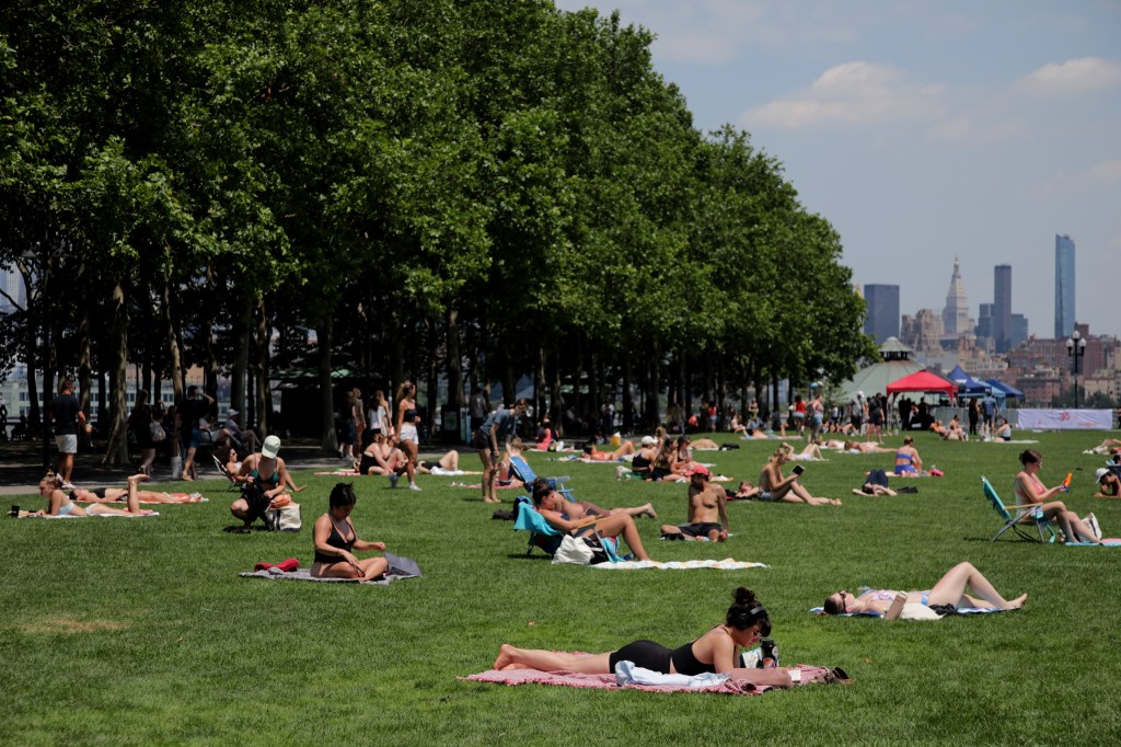 People sunbathing on a grassy lawn with a city skyline in the background.