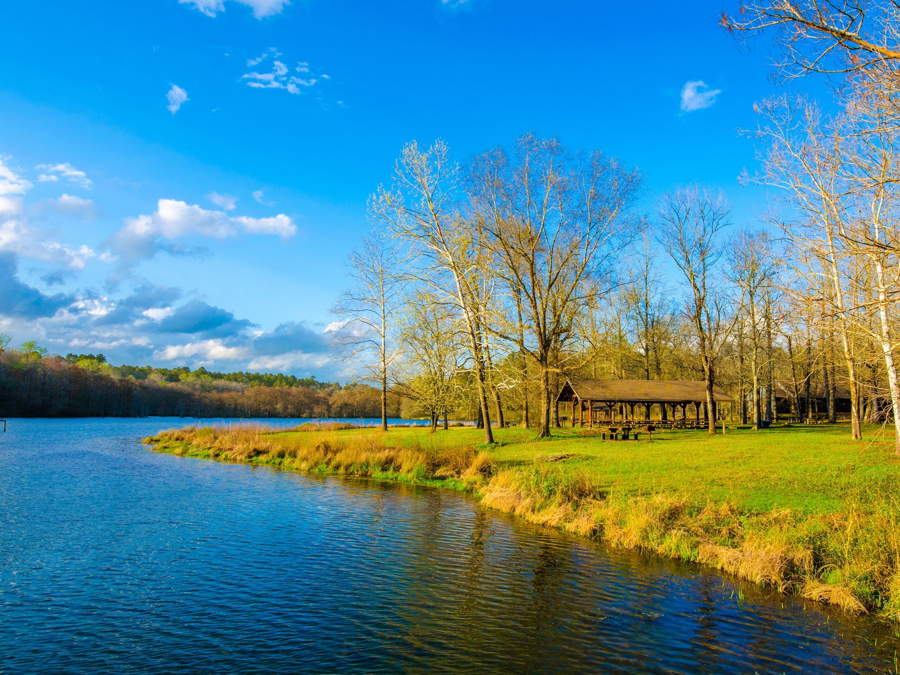 Holly Springs, Mississippi.