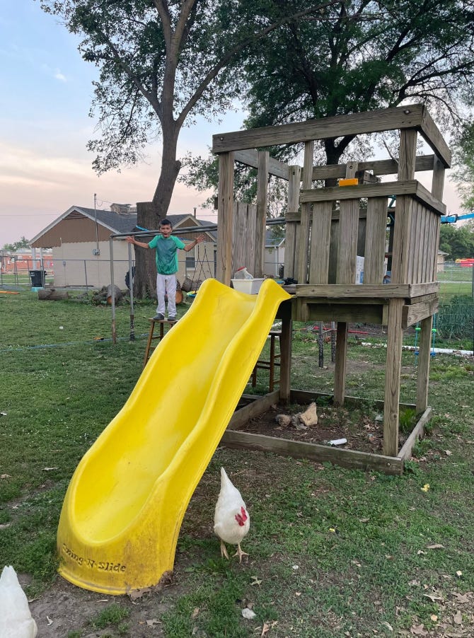 Bethaney Phillips backyard with a slide and chickens