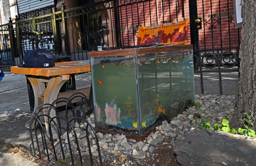 Outdoor fish tank with several goldfish, next to a small wooden bench with a baseball cap on it.