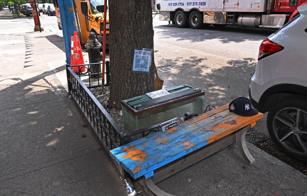 Small fish tank and baseball cap on a park bench.