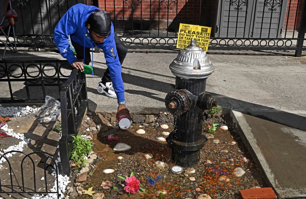Person adding something to a small, decorated goldfish pond next to a fire hydrant.