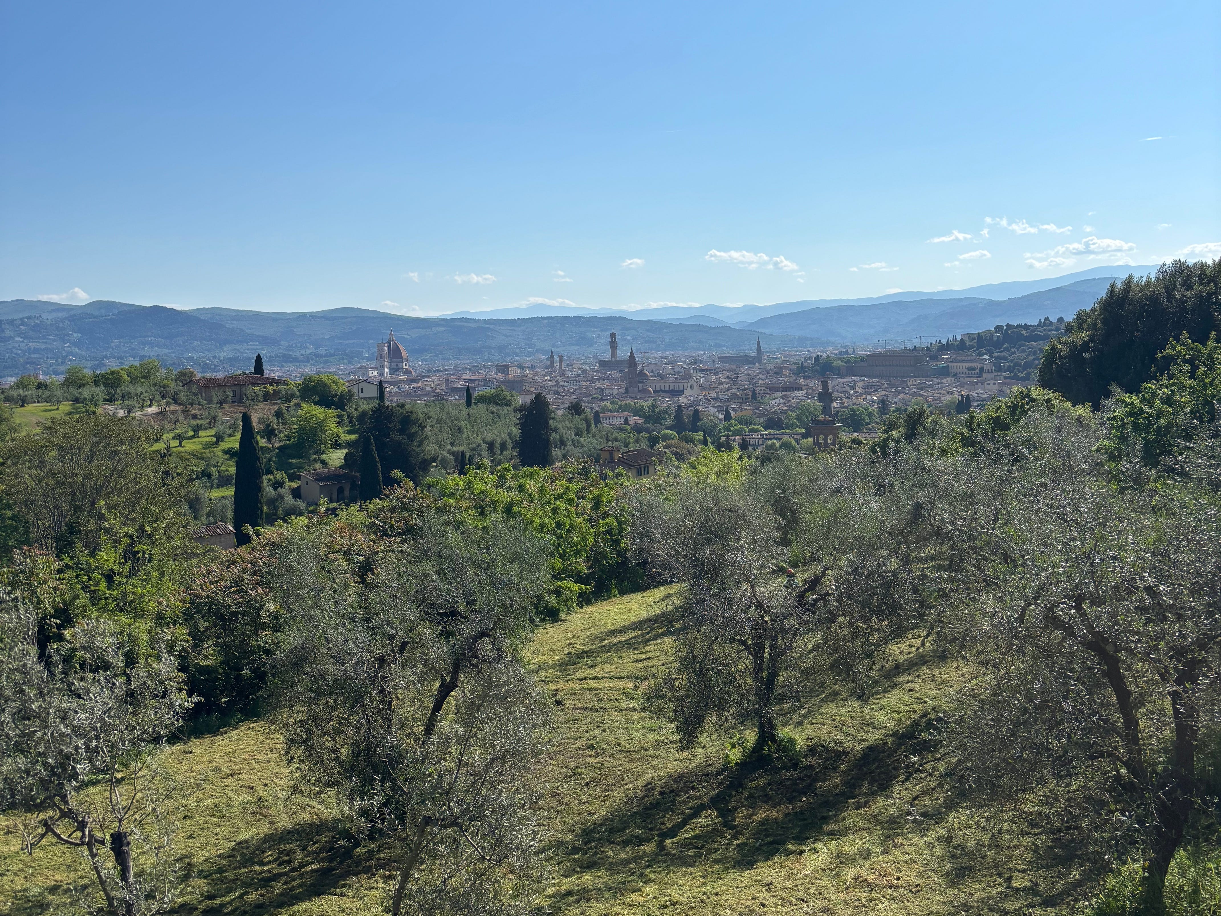 A wide shot of the author's view while on a bike tour in Tuscany, complete with blue skies and lots of greenery and trees.