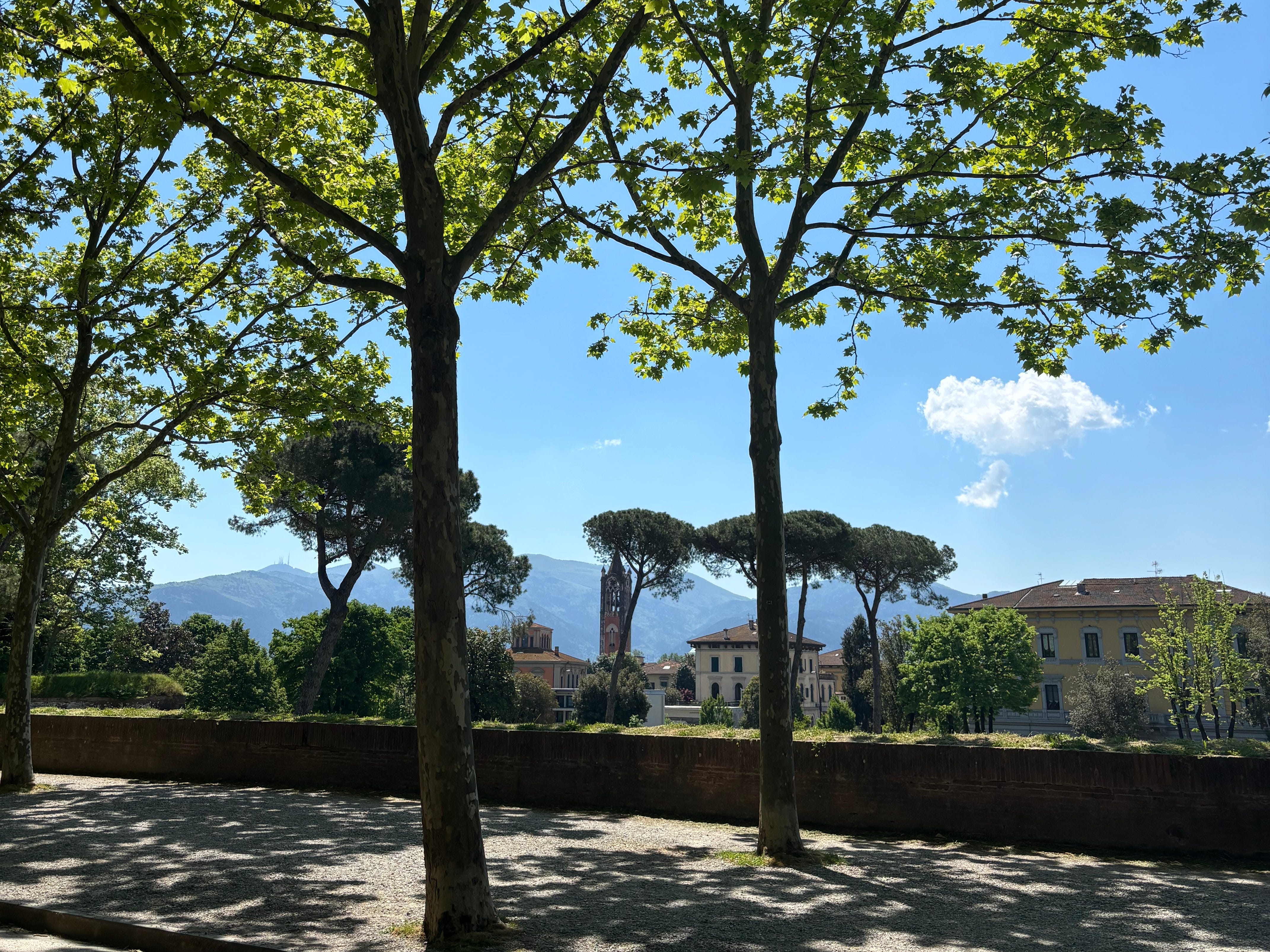 The author's view of a town or city in the Tuscan region of Italy.