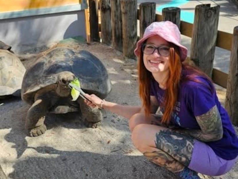 Raines feeding turtle