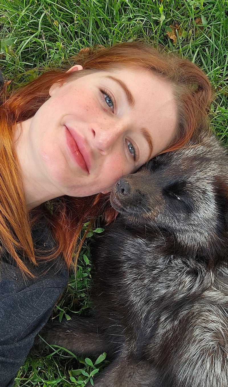 Raines and a fox