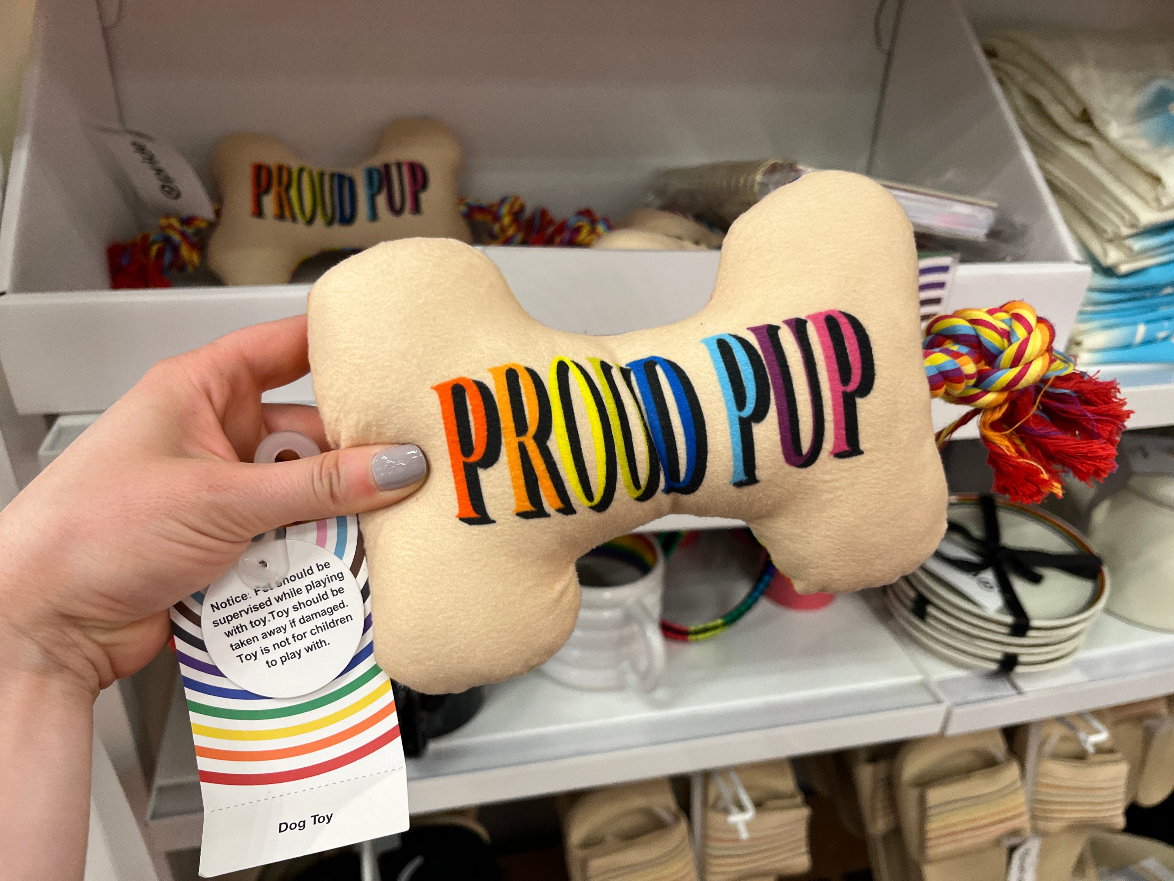 A pride-themed dog toy at Target.
