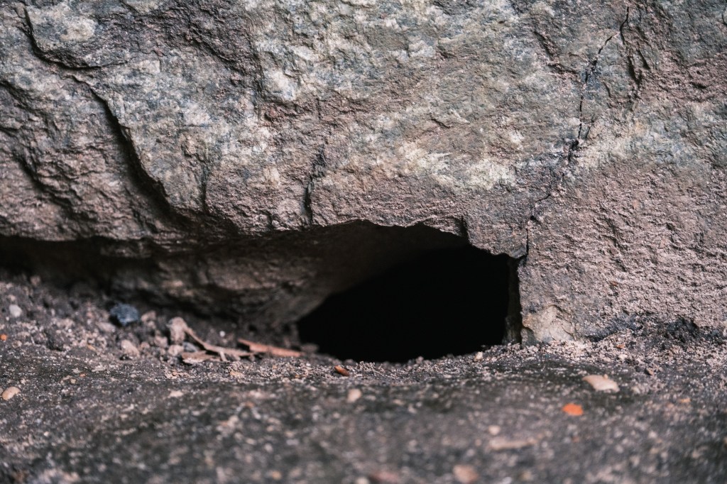 A rathole.