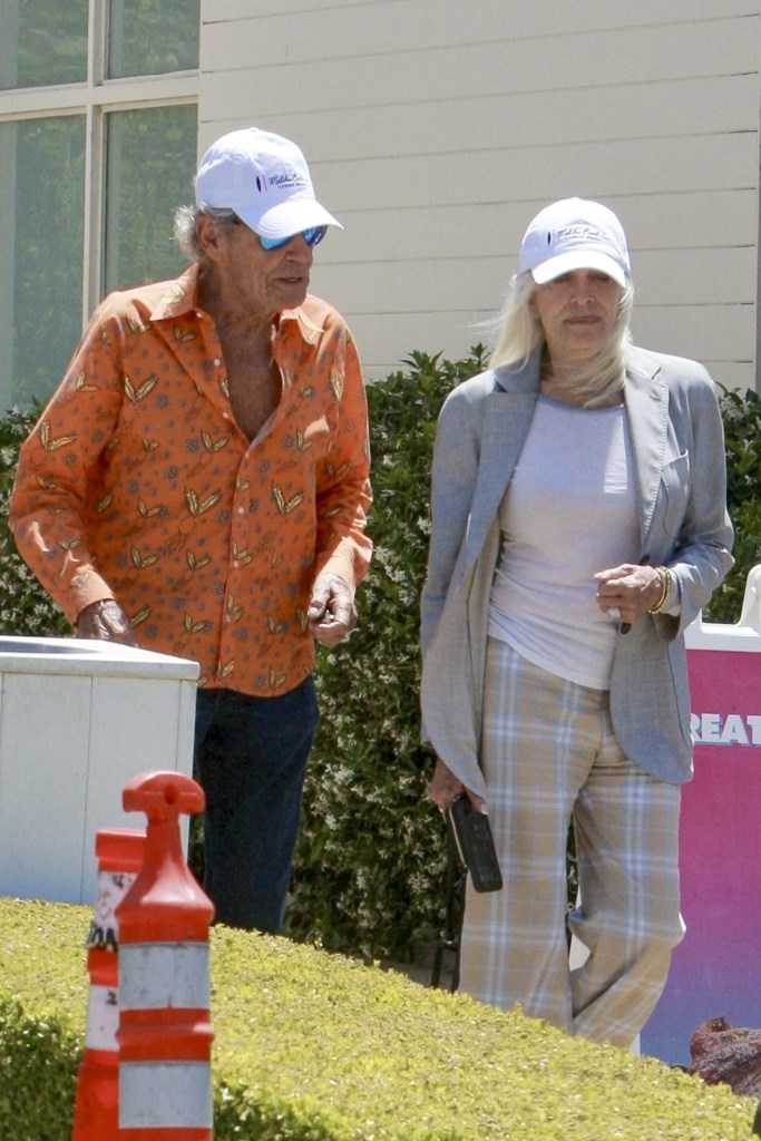 Alan Hamel and Joanna Cassidy