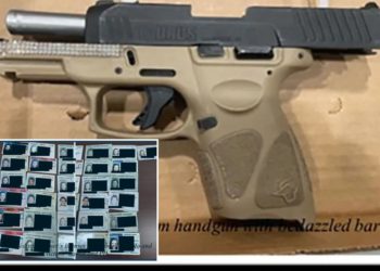 Fraudster with ‘bedazzled’ gun sentenced for role in identity theft ring after racking up nearly $500K in debt