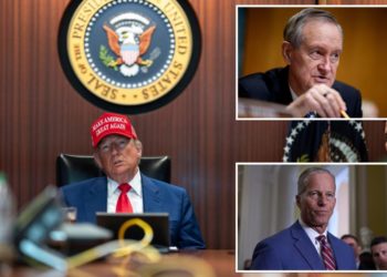 Senate parliamentarian scraps GOP’s Medicaid reforms in ‘big beautiful bill’