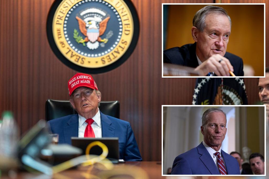 Senate parliamentarian scraps GOP’s Medicaid reforms in ‘big beautiful bill’