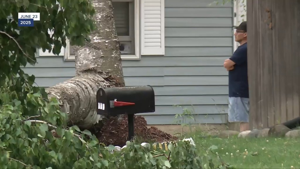 A man stands near a fallen tree that damaged his property.