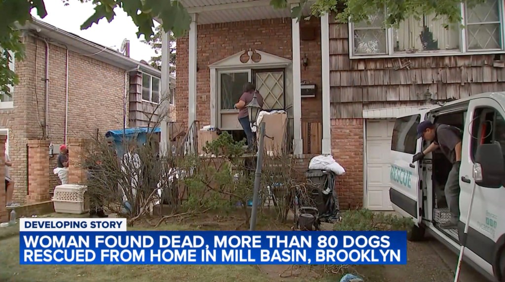Neighbors said the house smelled due to the animals.