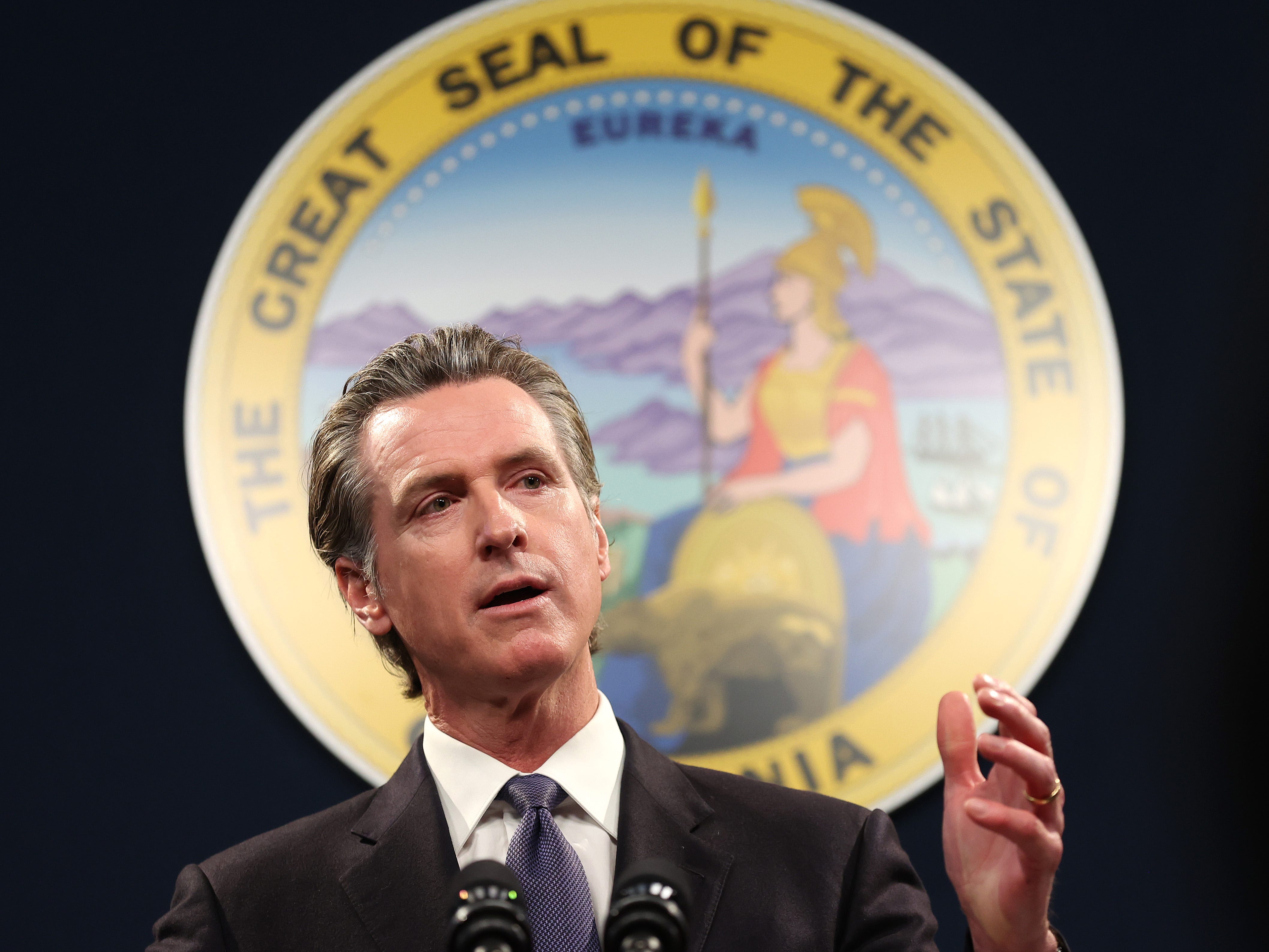 California Gov. Gavin Newsom speaks during a press conference in front of the seal of California.