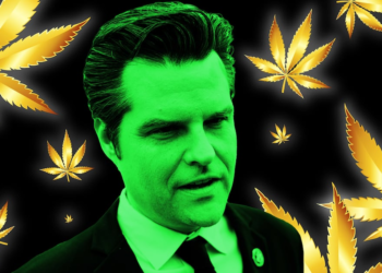 Matt Gaetz Accidentally Reveals Lucrative Trump-Whispering Weed Deal