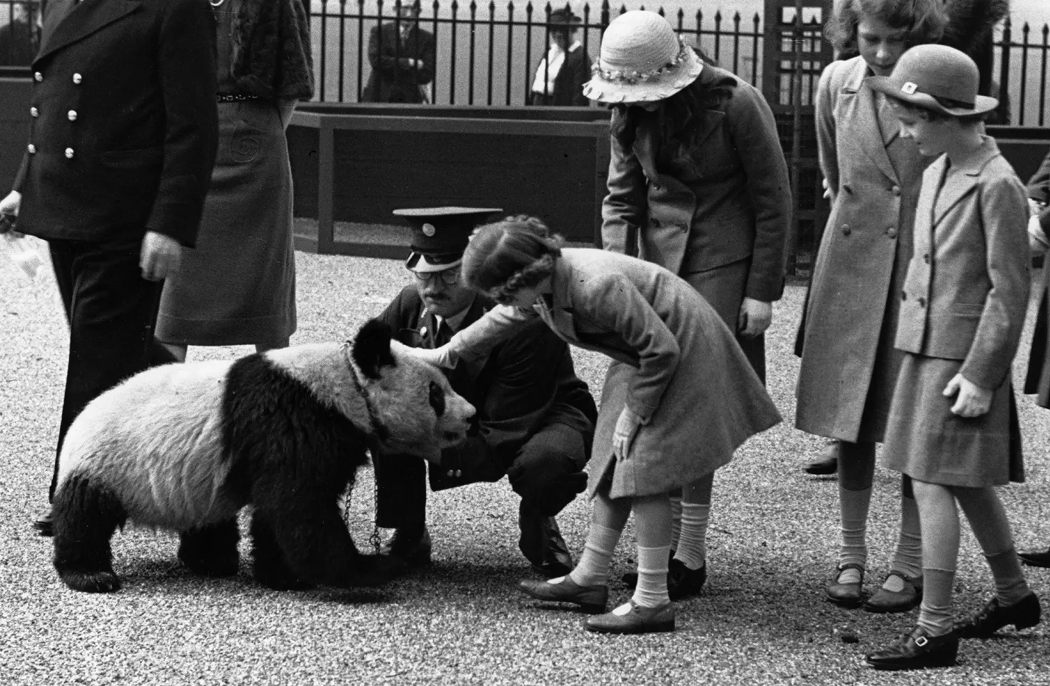 Two young girls pet a panda in a historic photograph.