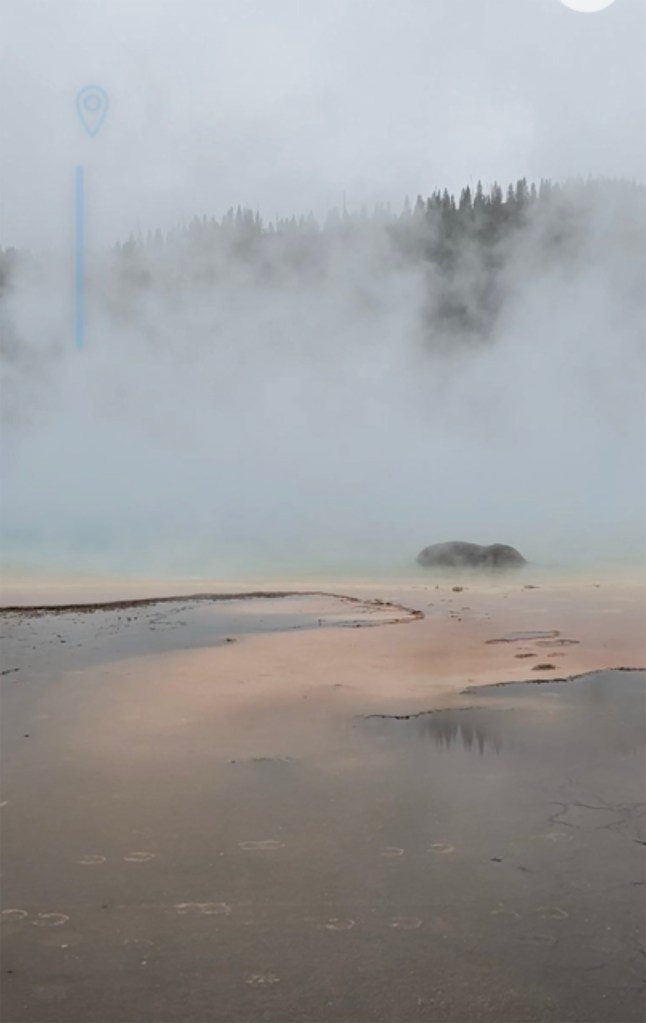 A dead bison lies in a hot spring.