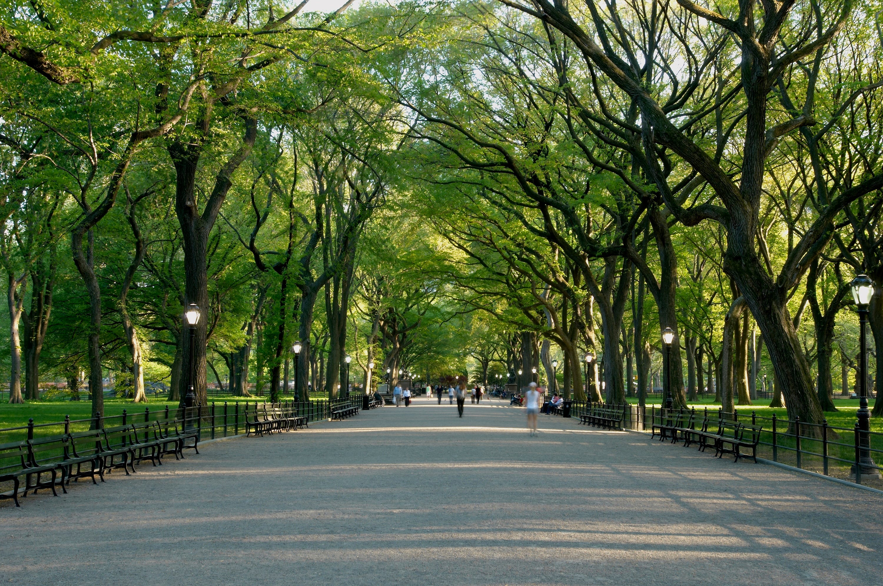 A pathway in Central Park.