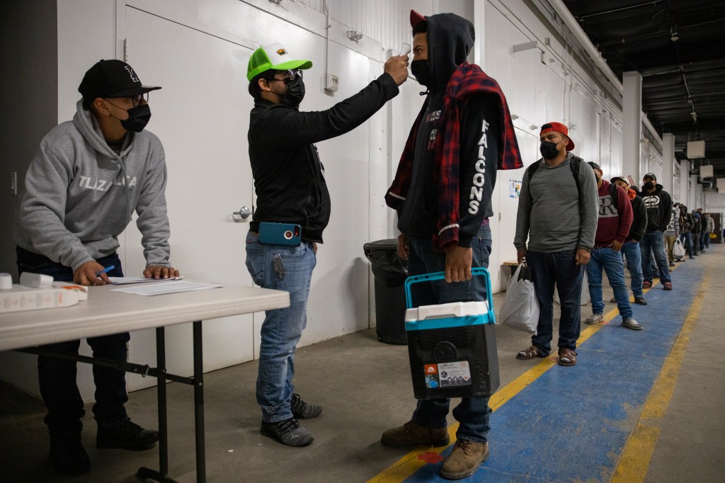Migrant farm laborers have their temperatures in King City, Calif. on April 28, 2020.
