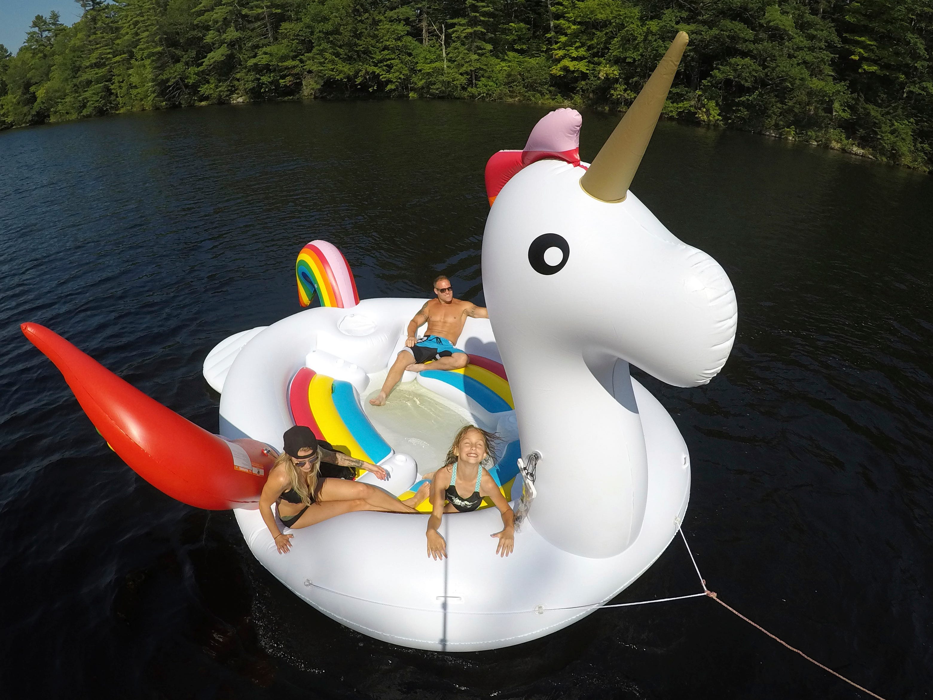 unicorn float