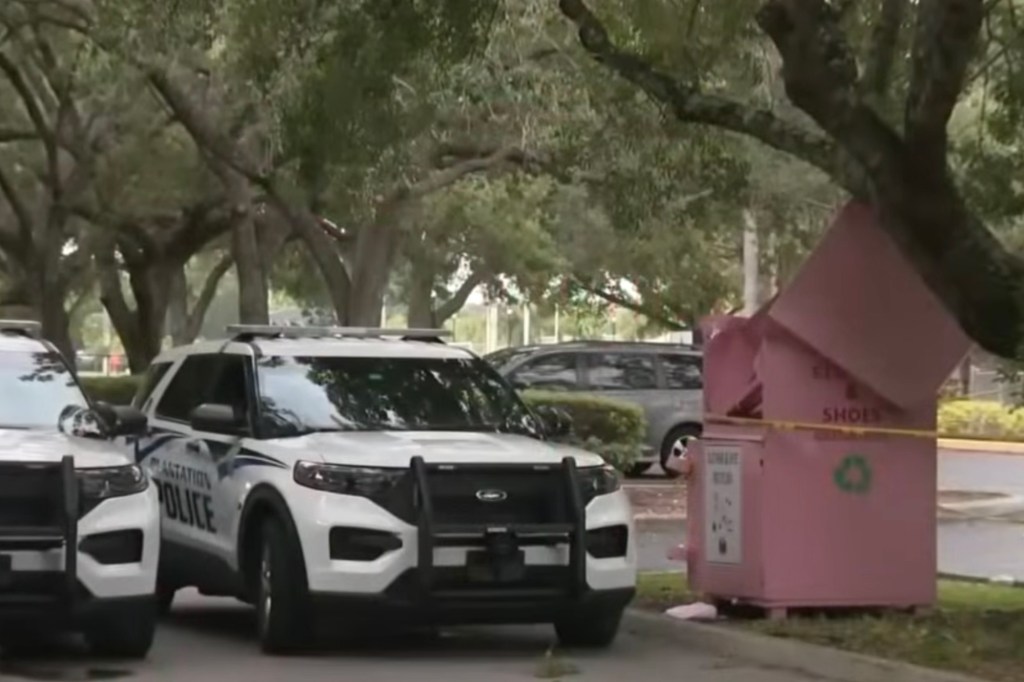 Police cars near a pink donation bin.