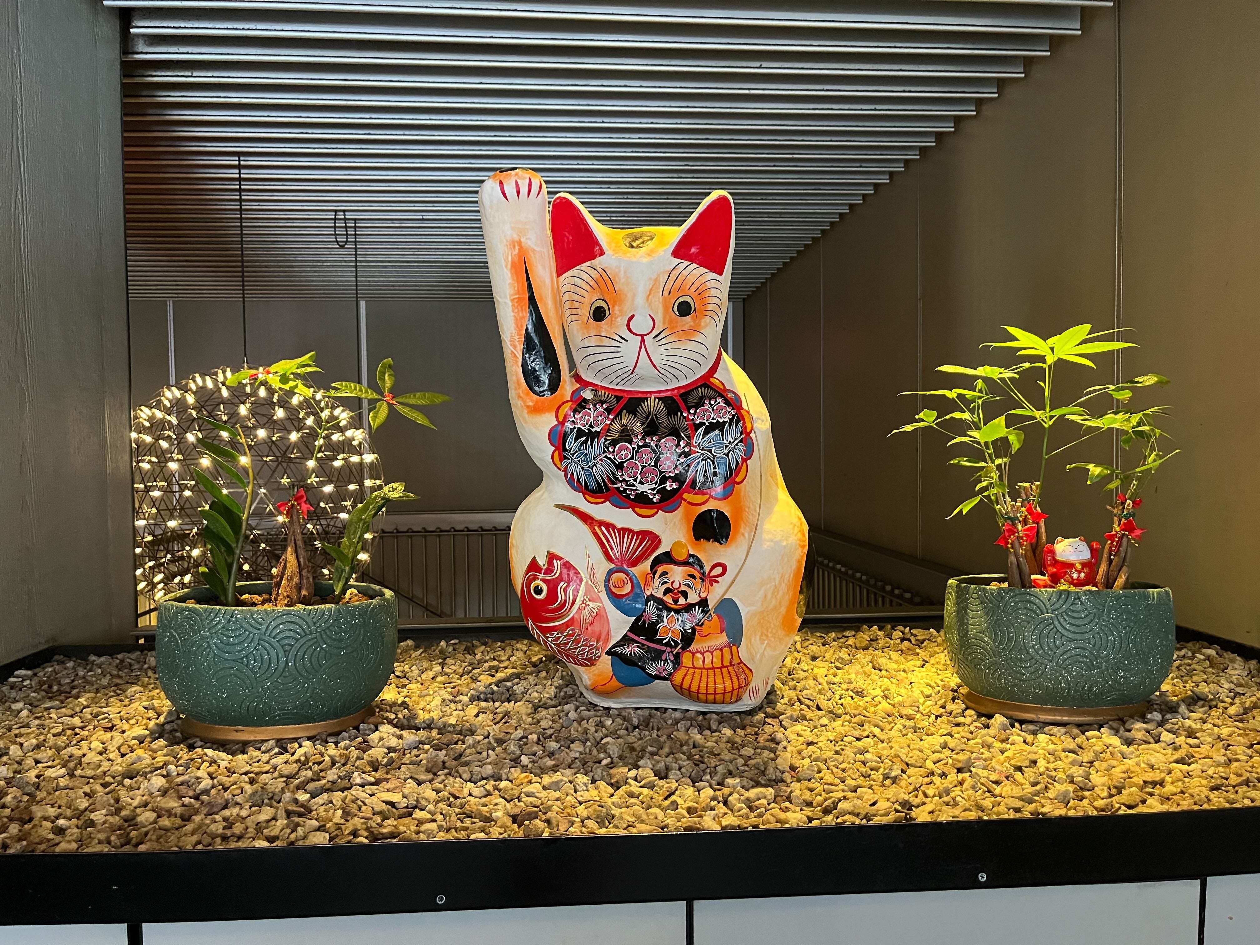 cat at benihana
