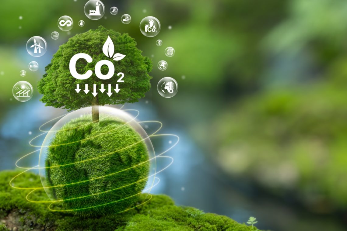 Scientists created a ‘living’ material that sucks CO2 out of the air