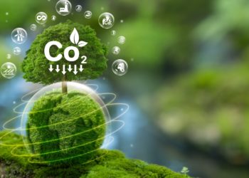 Scientists created a ‘living’ material that sucks CO2 out of the air