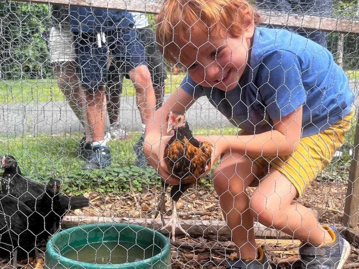 Boy holding chicken