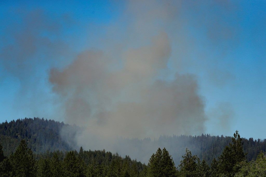 Smoke rising from a wildfire in a forest.