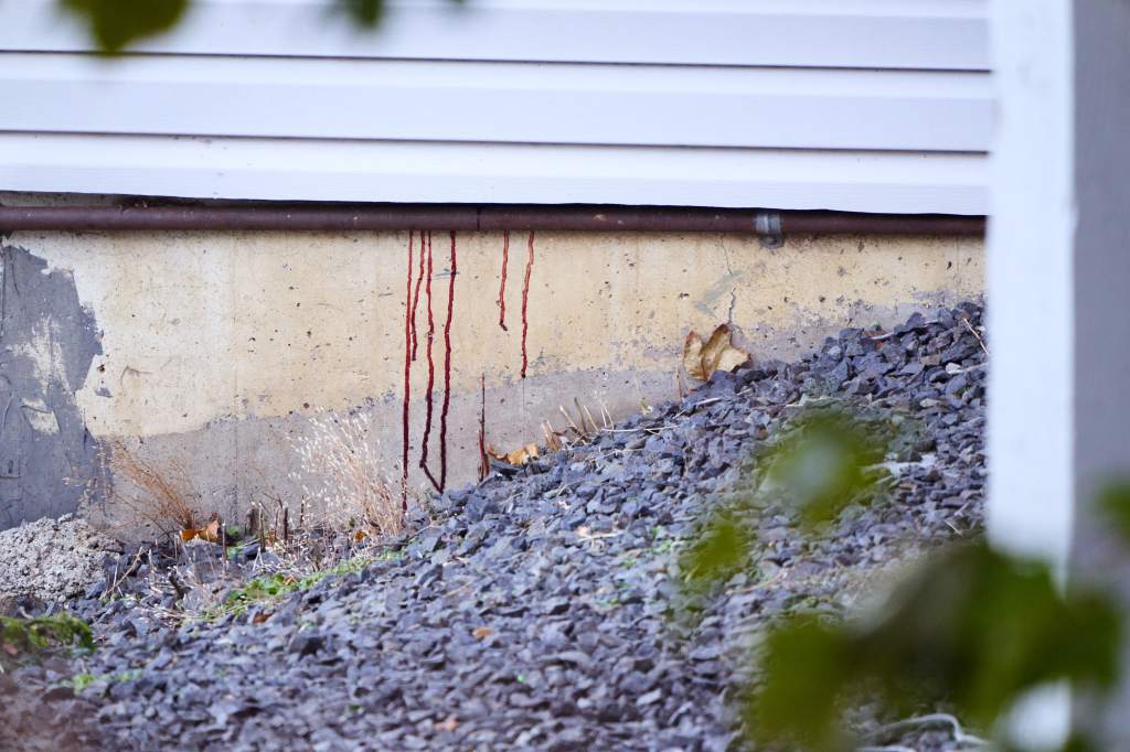 Blood on the ground outside a house.