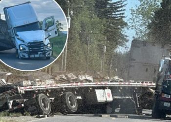 250 million bees unleashed upon northern Washington after truck overturns
