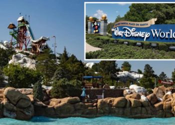 334-pound man sues Walt Disney World over injuries sustained on waterslide that allegedly didn’t support his weight
