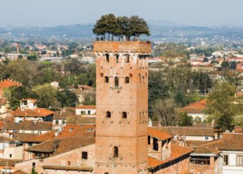 25 of the most unique gardens around the world