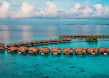 The luxury market is poised for a big slowdown, but there are some areas where people are still willing to splurge
