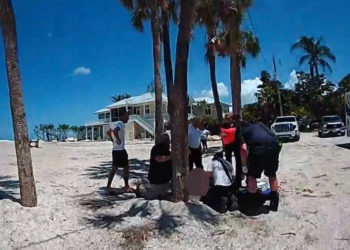 9-Year-Old Girl Nearly Loses Her Hand in Shark Attack While Snorkeling