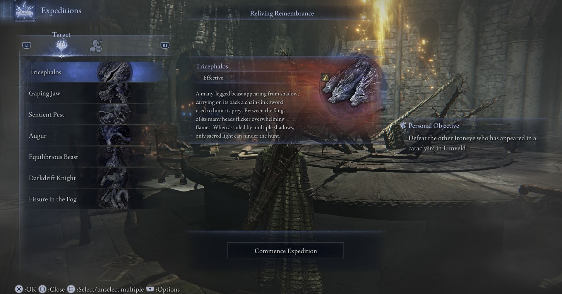 An Elden Ring Nightreign screenshot showing the Expeditions menu, with a list of most bosses you can fight in the game.