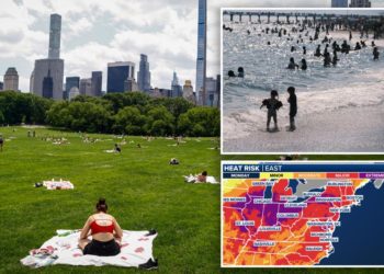Big Apple or Apple Crisp? Extreme heat watch in effect for NYC as heat wave set to bring dangerous temps