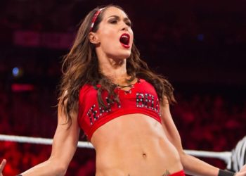 Brie Bella Reportedly in Talks for WWE Return