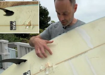 California surfer comes face to face with 10-foot shark after it tosses him from board: ‘I will not get away from this’