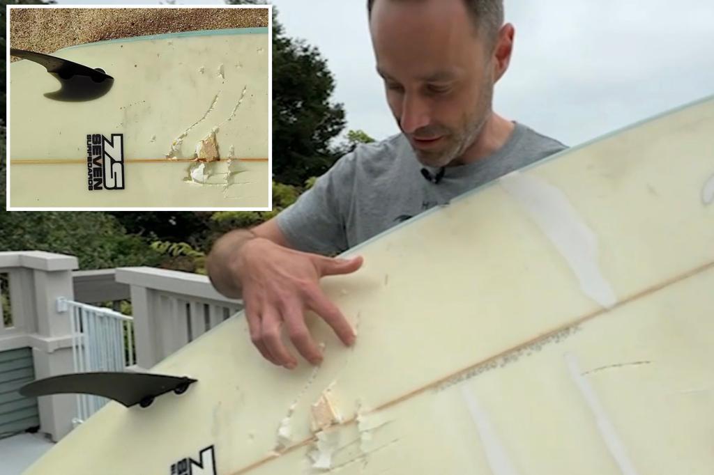 California surfer comes face to face with 10-foot shark after it tosses him from board: ‘I will not get away from this’