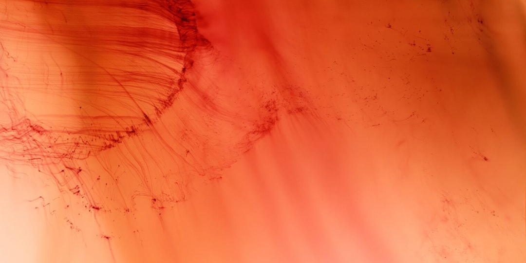 Centre Pompidou Bows Out With Major Wolfgang Tillmans Retrospective