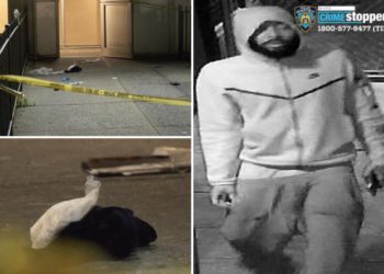 Crazed stalker stabs two good Samaritans walking NYC woman who thought she was being followed home