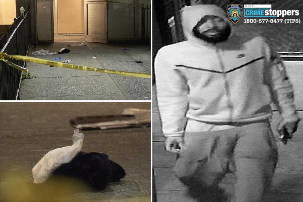 Crazed stalker stabs two good Samaritans walking NYC woman who thought she was being followed home