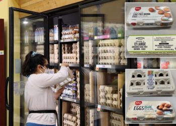 Dangerous salmonella outbreak tied to eggs sends more than 20 people to hospital